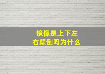 镜像是上下左右颠倒吗为什么