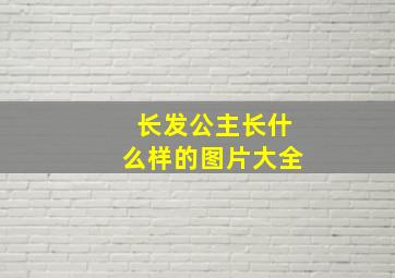 长发公主长什么样的图片大全