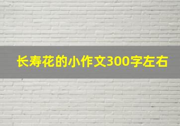 长寿花的小作文300字左右