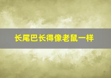 长尾巴长得像老鼠一样