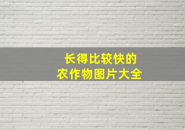 长得比较快的农作物图片大全