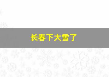 长春下大雪了