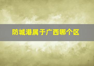 防城港属于广西哪个区