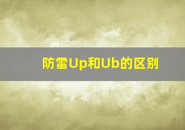 防雷Up和Ub的区别