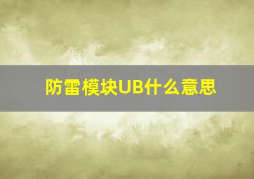 防雷模块UB什么意思