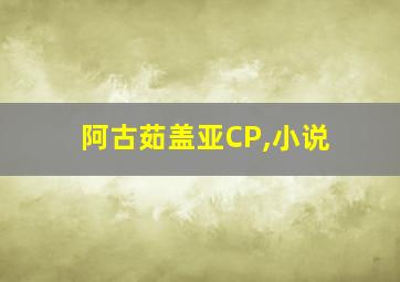 阿古茹盖亚CP,小说