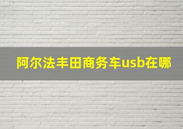 阿尔法丰田商务车usb在哪