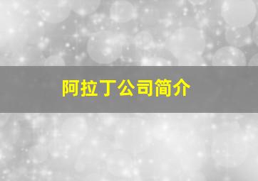 阿拉丁公司简介