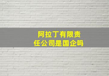 阿拉丁有限责任公司是国企吗