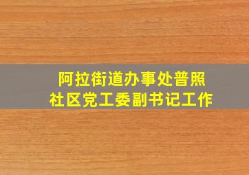 阿拉街道办事处普照社区党工委副书记工作