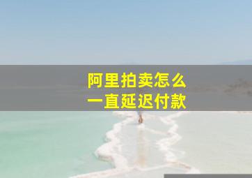 阿里拍卖怎么一直延迟付款