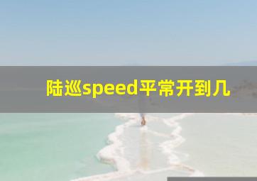 陆巡speed平常开到几