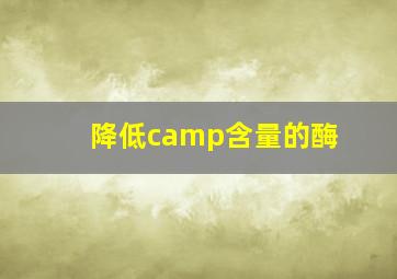 降低camp含量的酶