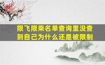 限飞限乘名单查询里没查到自己为什么还是被限制