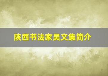 陕西书法家吴文集简介