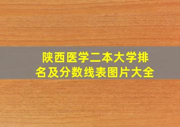 陕西医学二本大学排名及分数线表图片大全