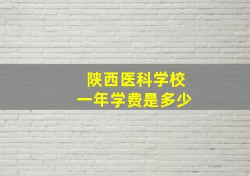 陕西医科学校一年学费是多少