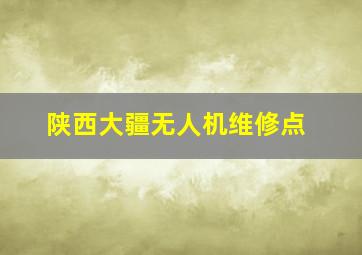 陕西大疆无人机维修点