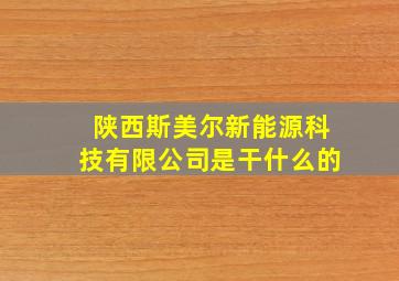 陕西斯美尔新能源科技有限公司是干什么的