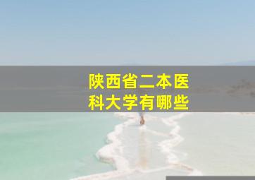 陕西省二本医科大学有哪些