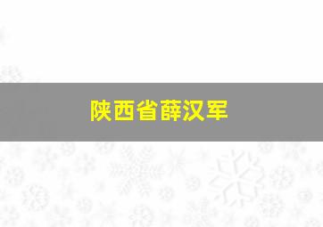 陕西省薛汉军