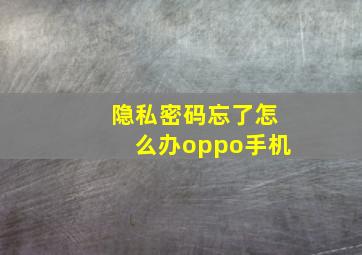 隐私密码忘了怎么办oppo手机