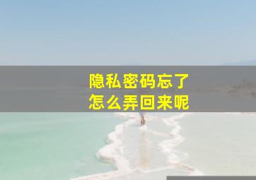 隐私密码忘了怎么弄回来呢