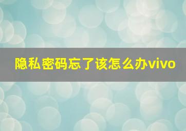 隐私密码忘了该怎么办vivo