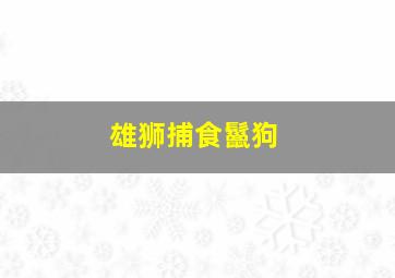 雄狮捕食鬣狗