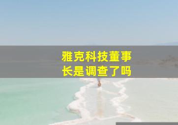 雅克科技董事长是调查了吗