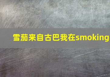 雪茄来自古巴我在smoking