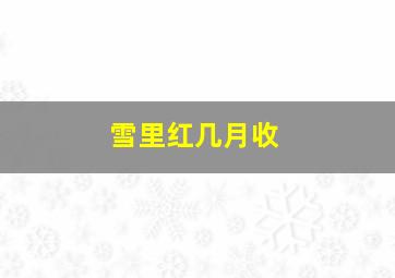 雪里红几月收