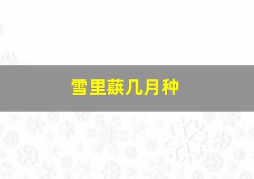 雪里蕻几月种