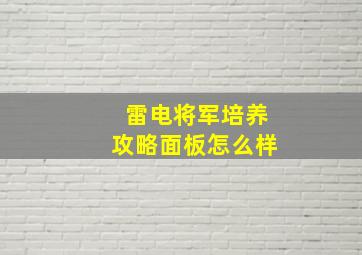 雷电将军培养攻略面板怎么样