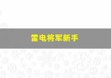 雷电将军新手