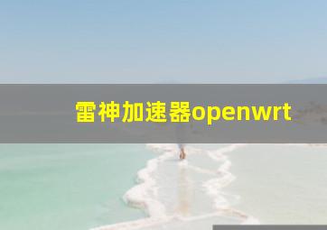 雷神加速器openwrt