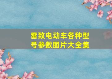 雷致电动车各种型号参数图片大全集