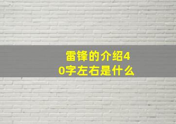 雷锋的介绍40字左右是什么