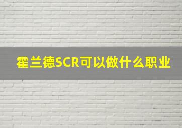 霍兰德SCR可以做什么职业