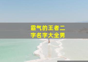 霸气的王者二字名字大全男