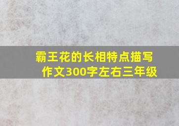 霸王花的长相特点描写作文300字左右三年级