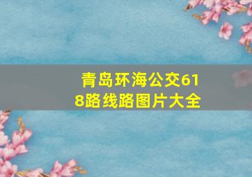 青岛环海公交618路线路图片大全