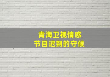 青海卫视情感节目迟到的守候