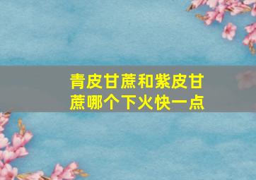 青皮甘蔗和紫皮甘蔗哪个下火快一点