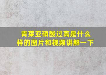 青菜亚硝酸过高是什么样的图片和视频讲解一下