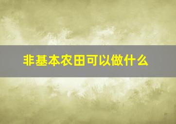 非基本农田可以做什么