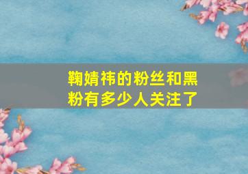 鞠婧祎的粉丝和黑粉有多少人关注了