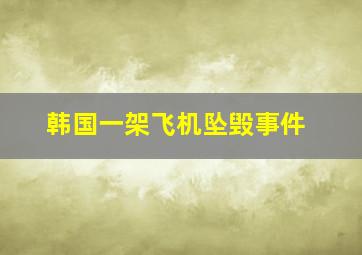 韩国一架飞机坠毁事件