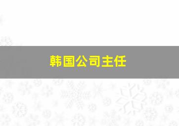 韩国公司主任