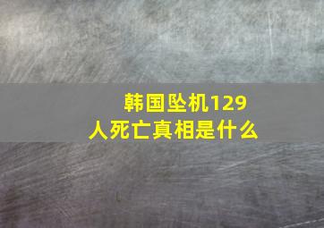 韩国坠机129人死亡真相是什么